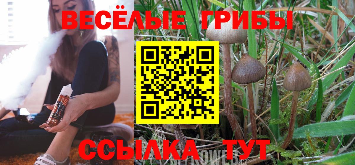 Каменск-Уральский  Галлюциногенные грибы мухоморы  Вход с VPN 